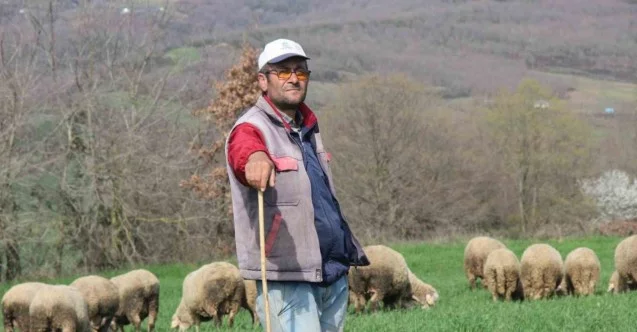 Şehir hayatından sıkıldı, 55 yaşında çobanlık yapmaya başladı