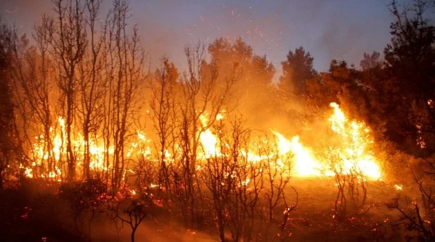 Seydikemer’de orman yangını: 20 hektar alan yandı