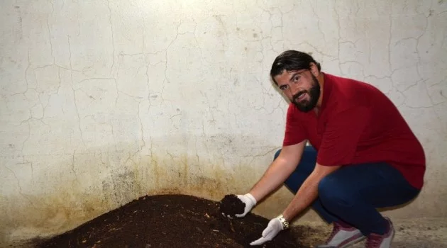 Söke’de genç girişimci evinin bodrumunda solucan gübresi üretiyor