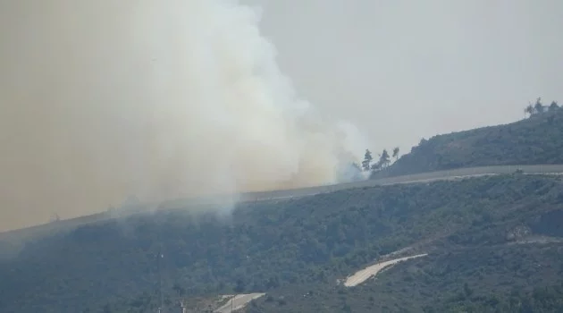 Suriye sınırının sıfır noktasında orman yangını