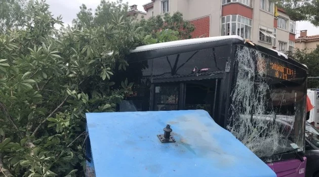 Sürücüsünün fenalaştığı yolcu otobüsü önce konteynıra ardından ağaca çarptı