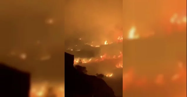 Suudi Arabistan’da dağlık alanda büyük orman yangını