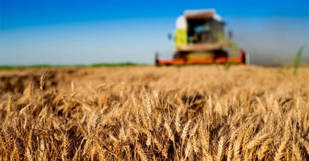 Tarım-ÜFE yıllık yüzde 118,53 arttı