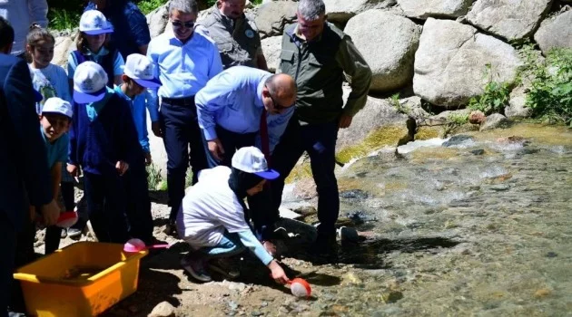 Trabzon’da 14 yılda 16 milyon yavru alabalık orman içi sulara bırakıldı