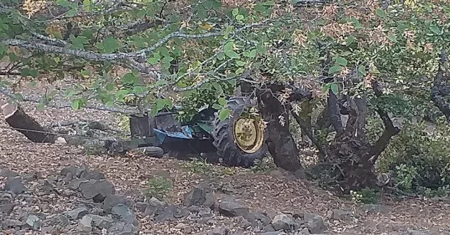 Traktör ormana yuvarlandı: 1 ölü, 2 yaralı