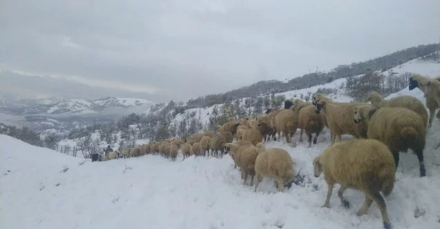 Tunceli’de kar yağışı