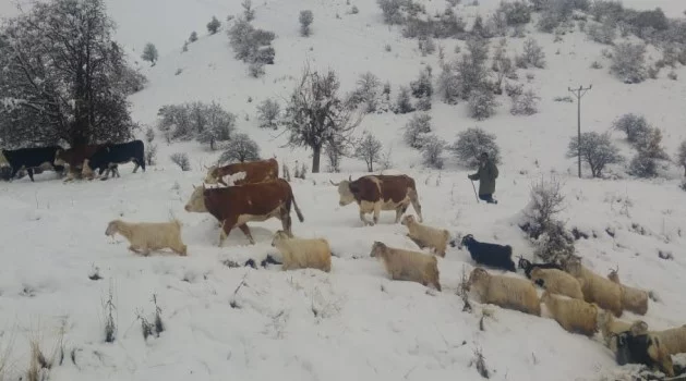 Tunceli’nin ilçelerinde kar etkili oldu