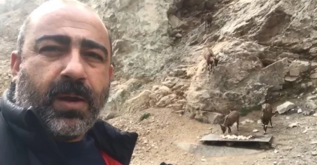 Yaban keçileriyle selfie pozu