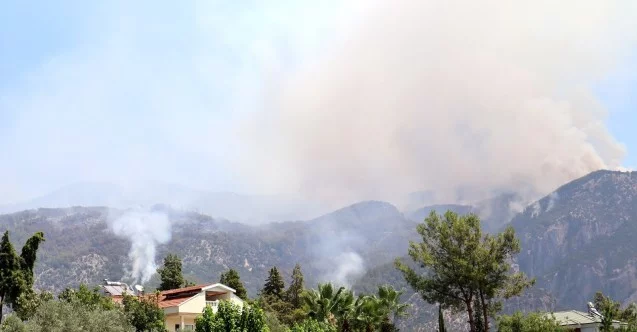 Yangın alanları afet bölgesi ilan edildi