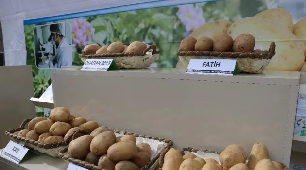 Yerli patates üreticiyle buluşacak