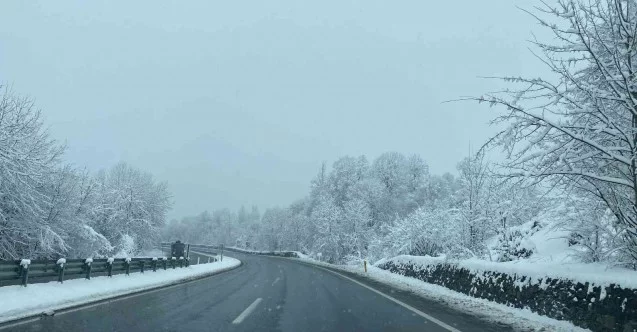 Zonguldak’ta buzlanan yolda sis görüş mesafesini düşürdü